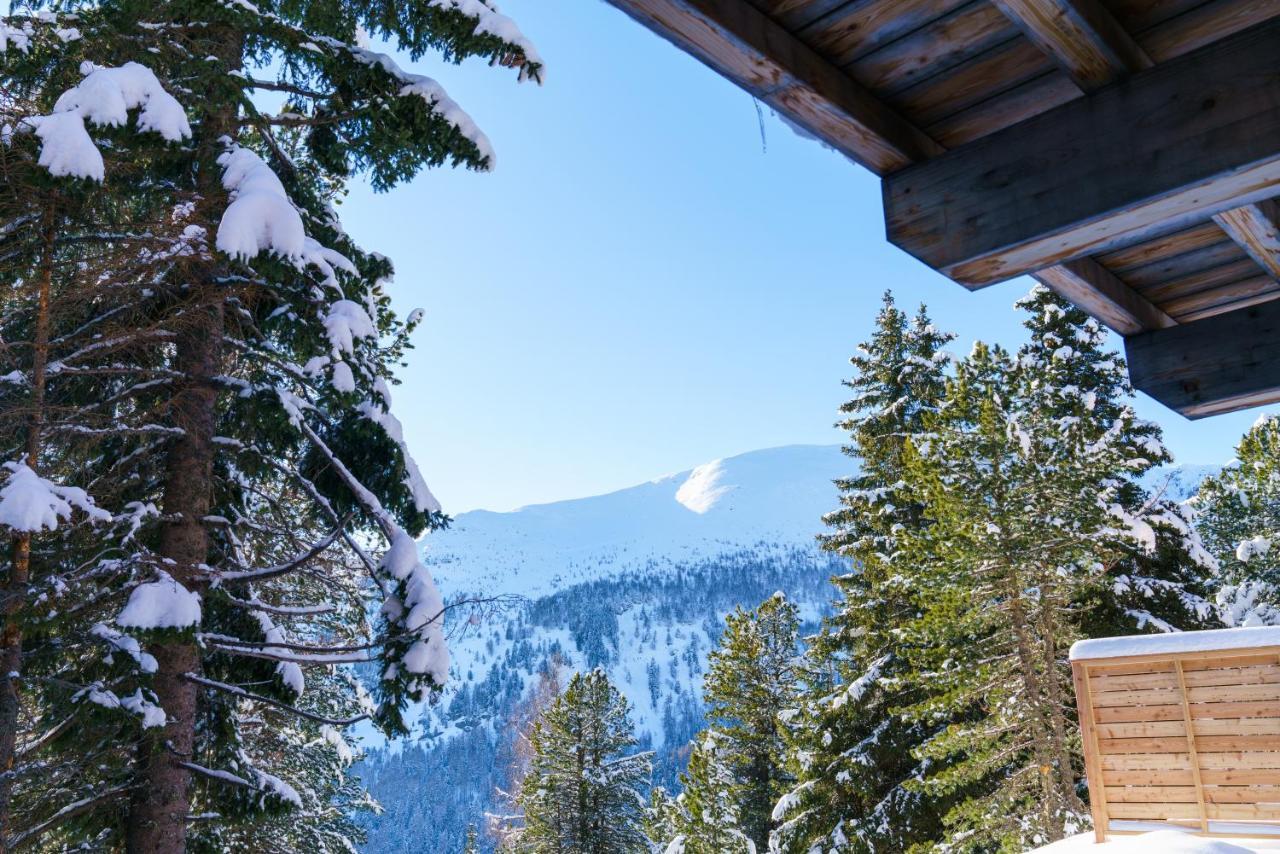 Turracher Hohe Luxalps- Turrach Alm Chalets Nr 1-4 Gruensee- Sauna- Skifahren- Wandern- Natur מראה חיצוני תמונה